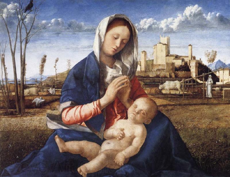 Gentile Bellini The Madonna of the Meadow France oil painting art